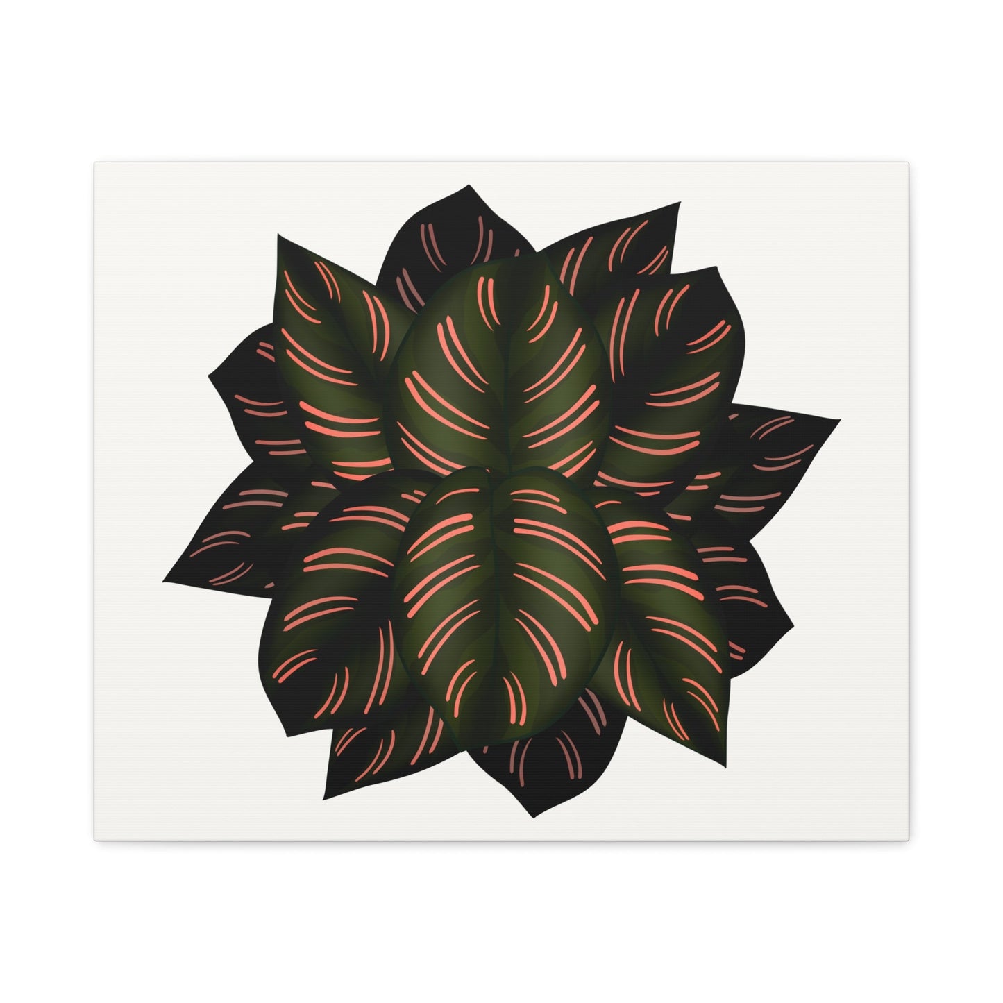 Calathea Pinstripe Canvas Print – Botanical Wall Art