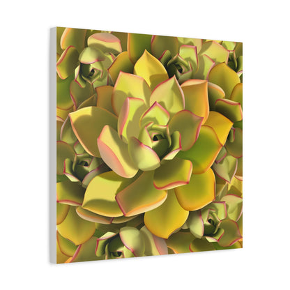 Noble Aeonium Succulent Pattern Canvas Print – Botanical Wall Art