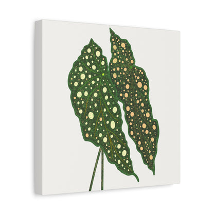 Begonia Maculata Canvas Print – Botanical Wall Art
