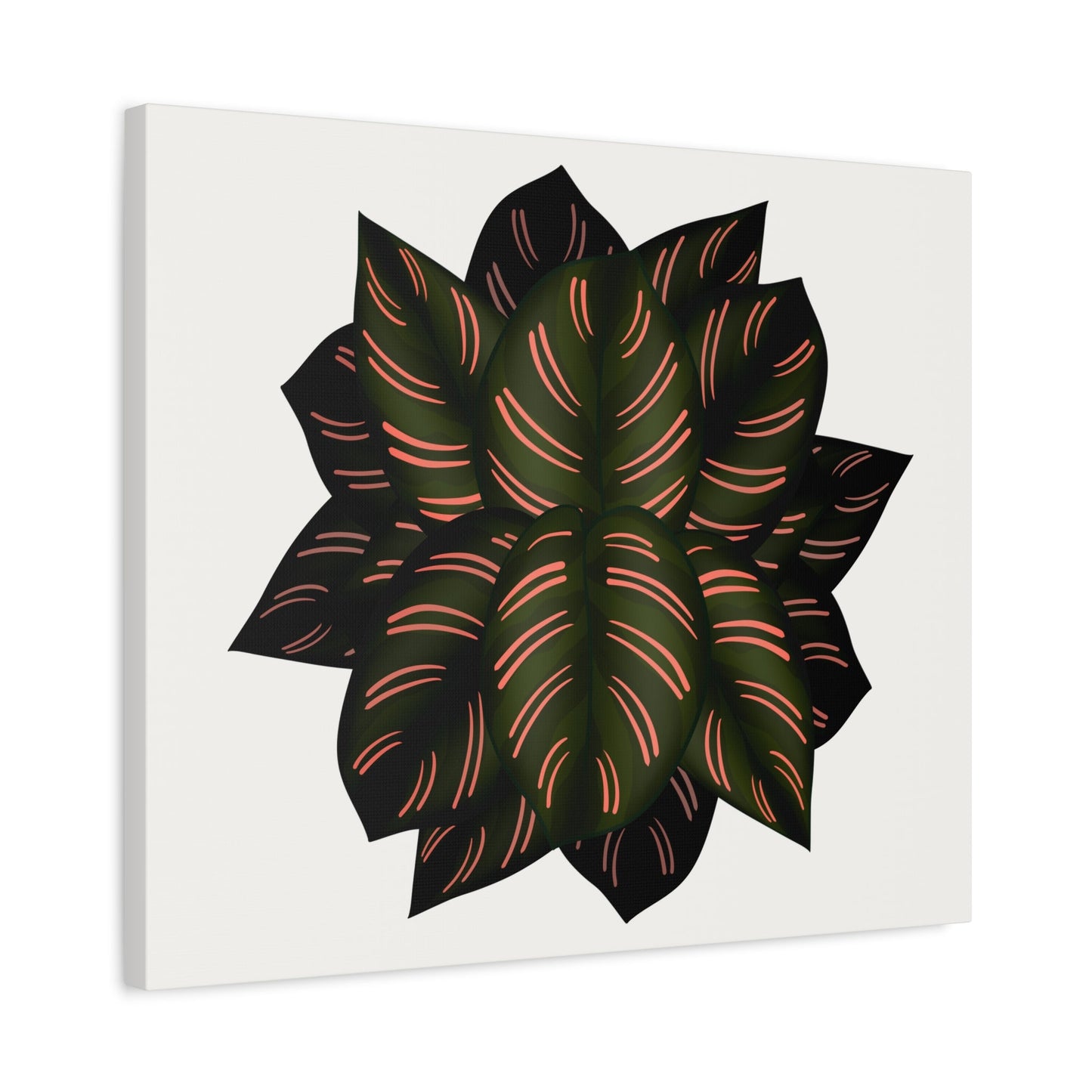 Calathea Pinstripe Canvas Print – Botanical Wall Art