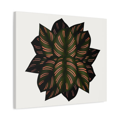 Calathea Pinstripe Canvas Print – Botanical Wall Art