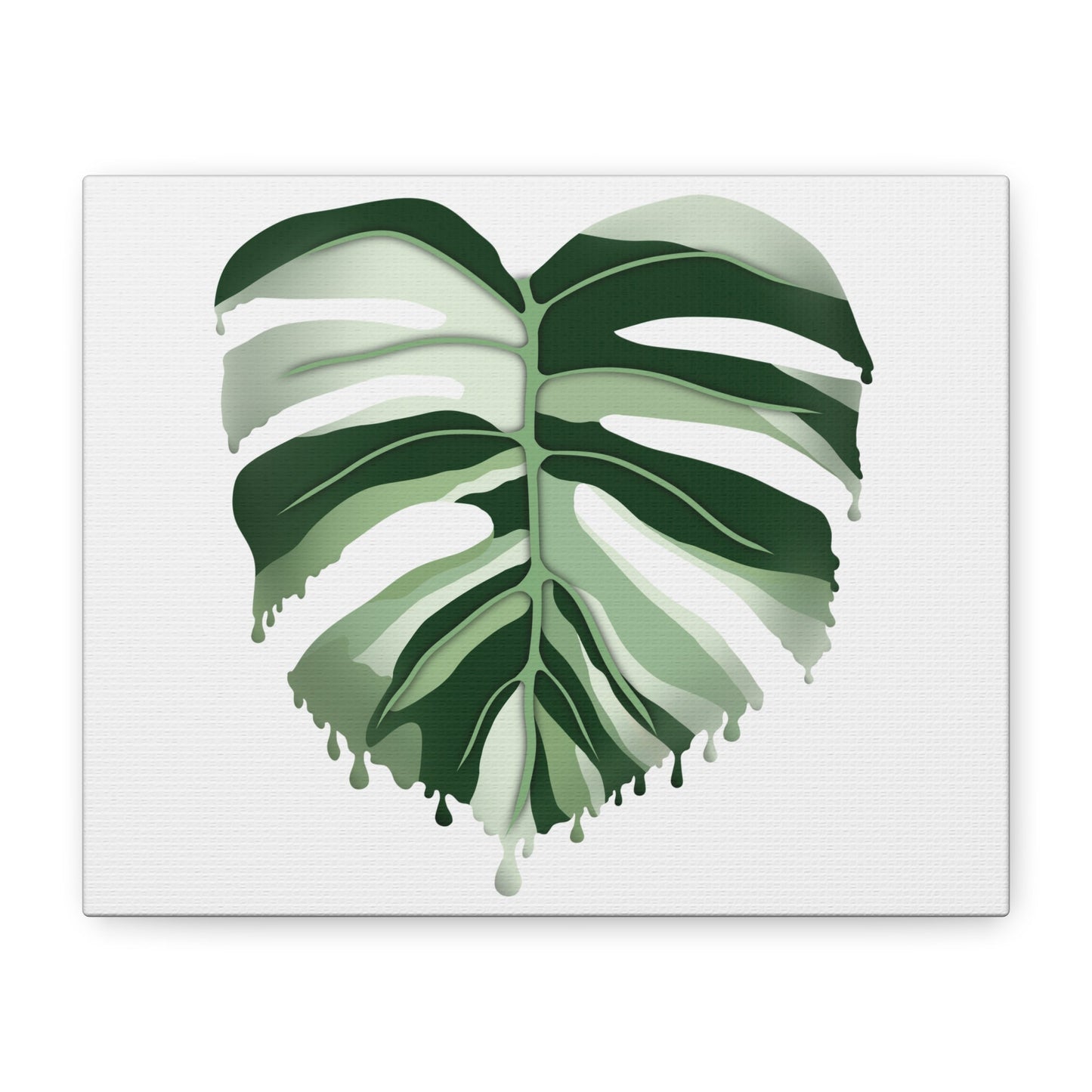 Melting Monstera Albo Canvas Print – Botanical Wall Art