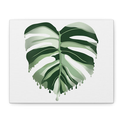Melting Monstera Albo Canvas Print – Botanical Wall Art