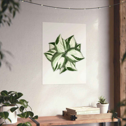 Manjula Pothos Botanical Print – Unframed Wall Art