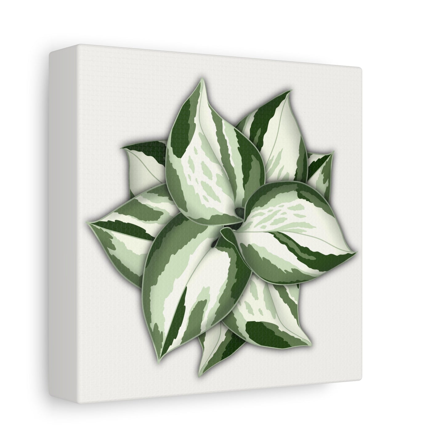 Manjula Pothos Canvas Print – Botanical Wall Art