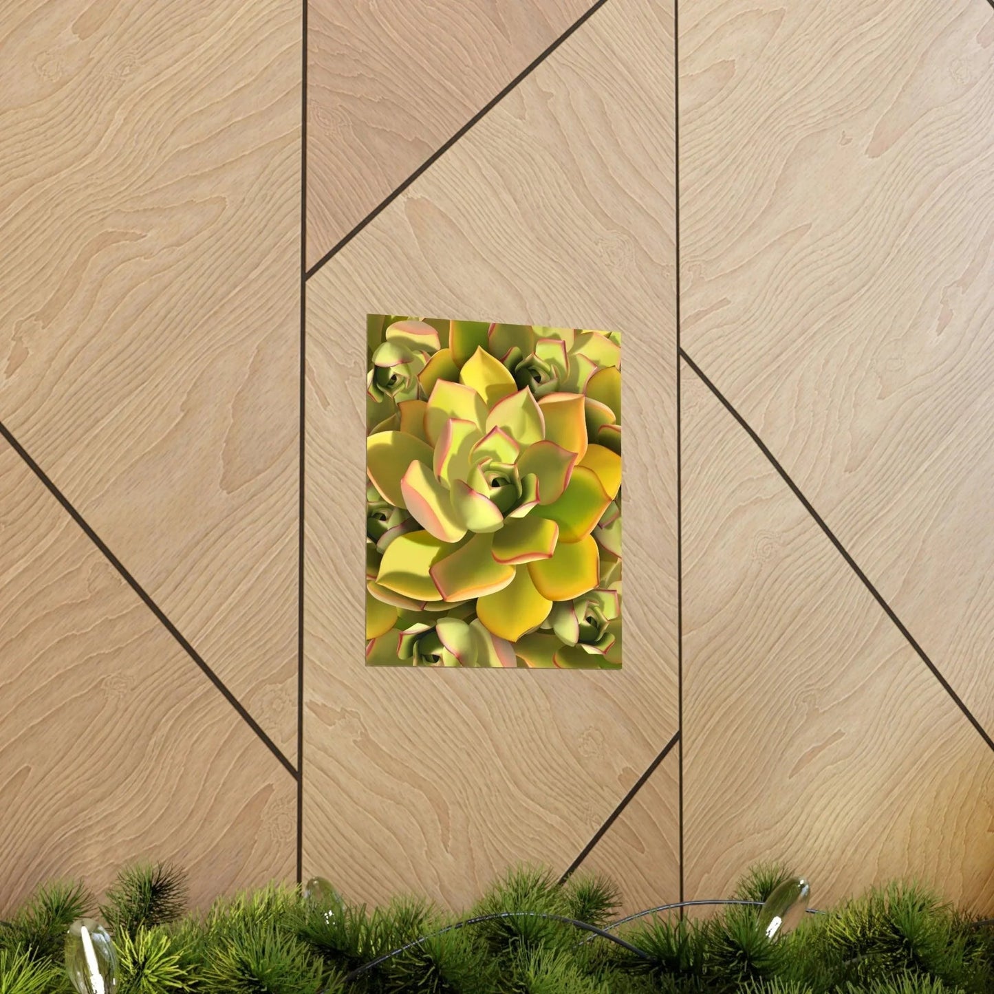 Noble Aeonium Succulent Pattern Botanical Print – Unframed Wall Art