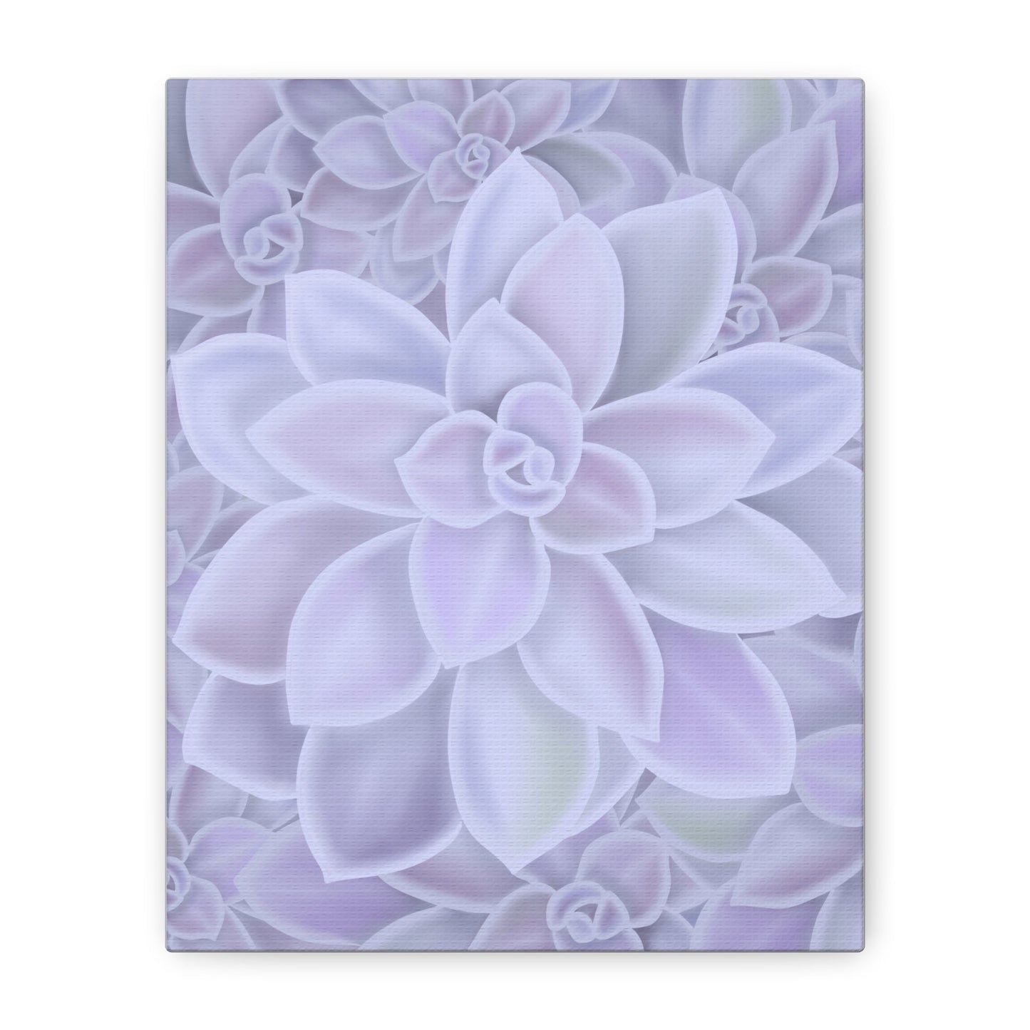Graptopetalum Murasaki Succulent Pattern Canvas Print – Botanical Wall Art