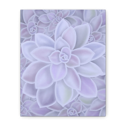 Graptopetalum Murasaki Succulent Pattern Canvas Print – Botanical Wall Art