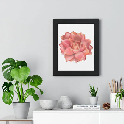 Graptosedum California Sunset Succulent Framed Print – Botanical Wall Art