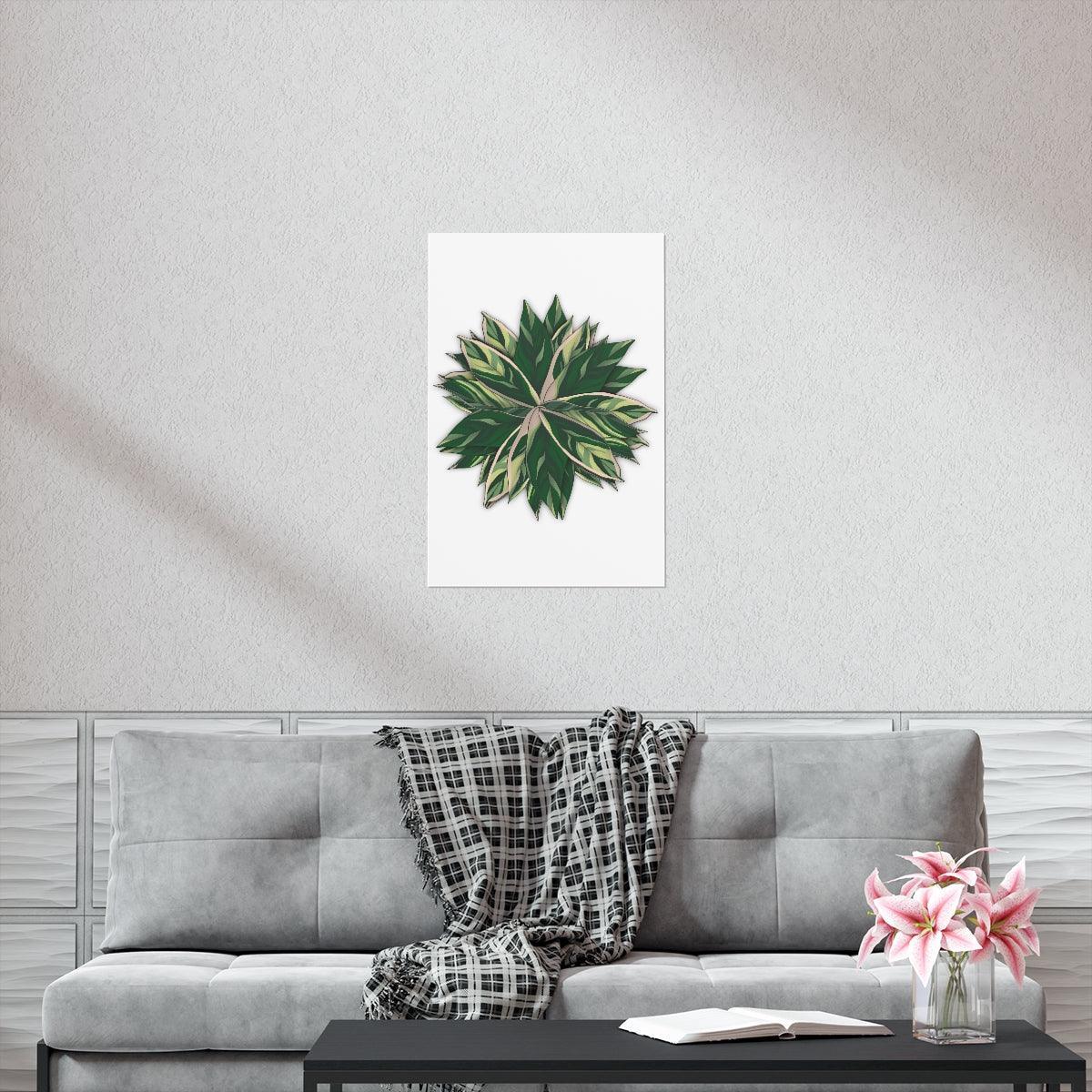 Stromanthe Triostar Botanical Print – Unframed Wall Art