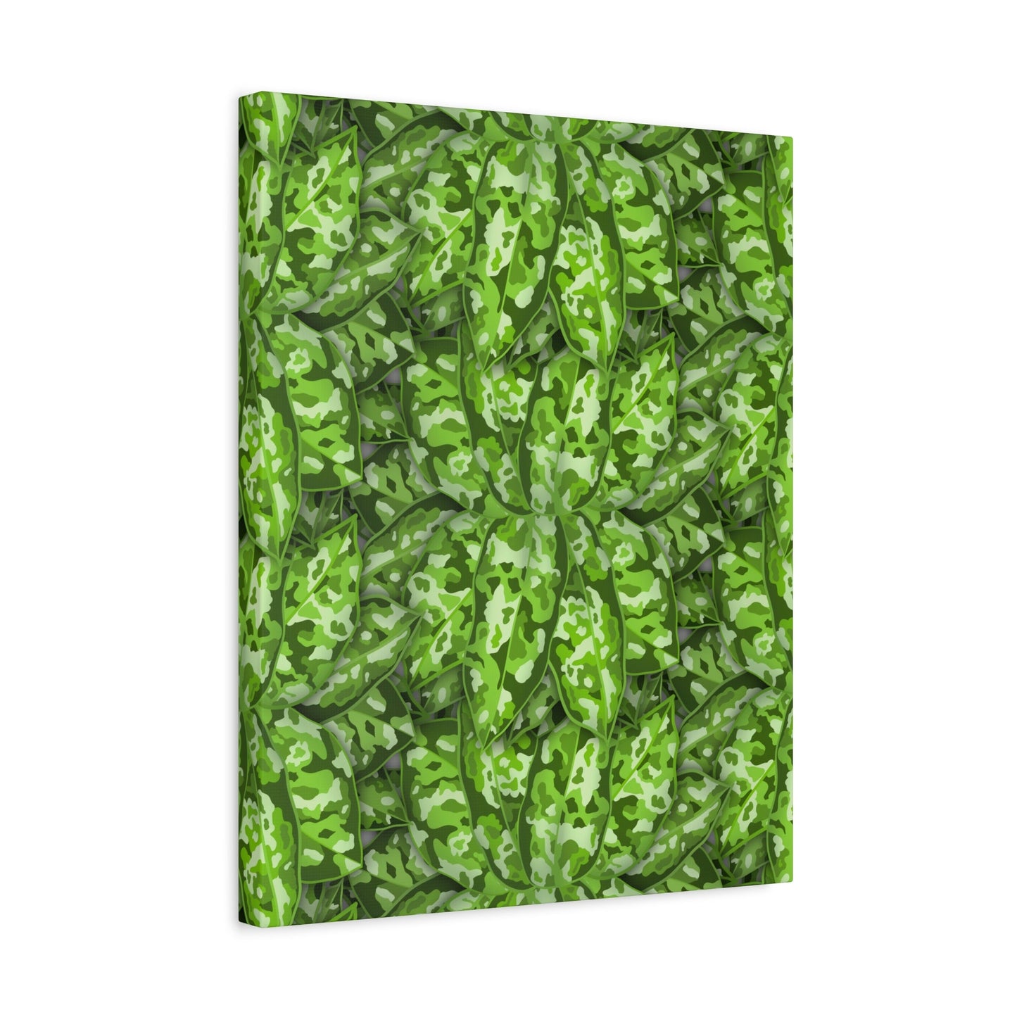 Aglaonema Pictum Canvas Print – Botanical Wall Art