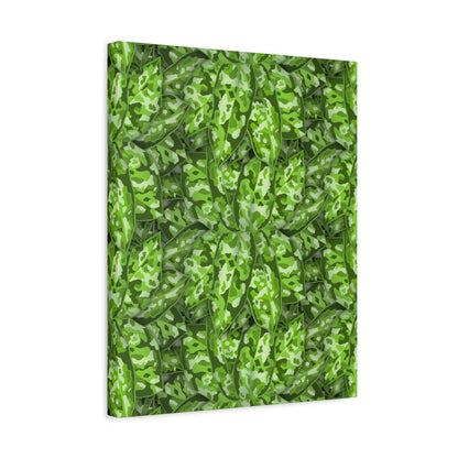 Aglaonema Pictum Canvas Print – Botanical Wall Art