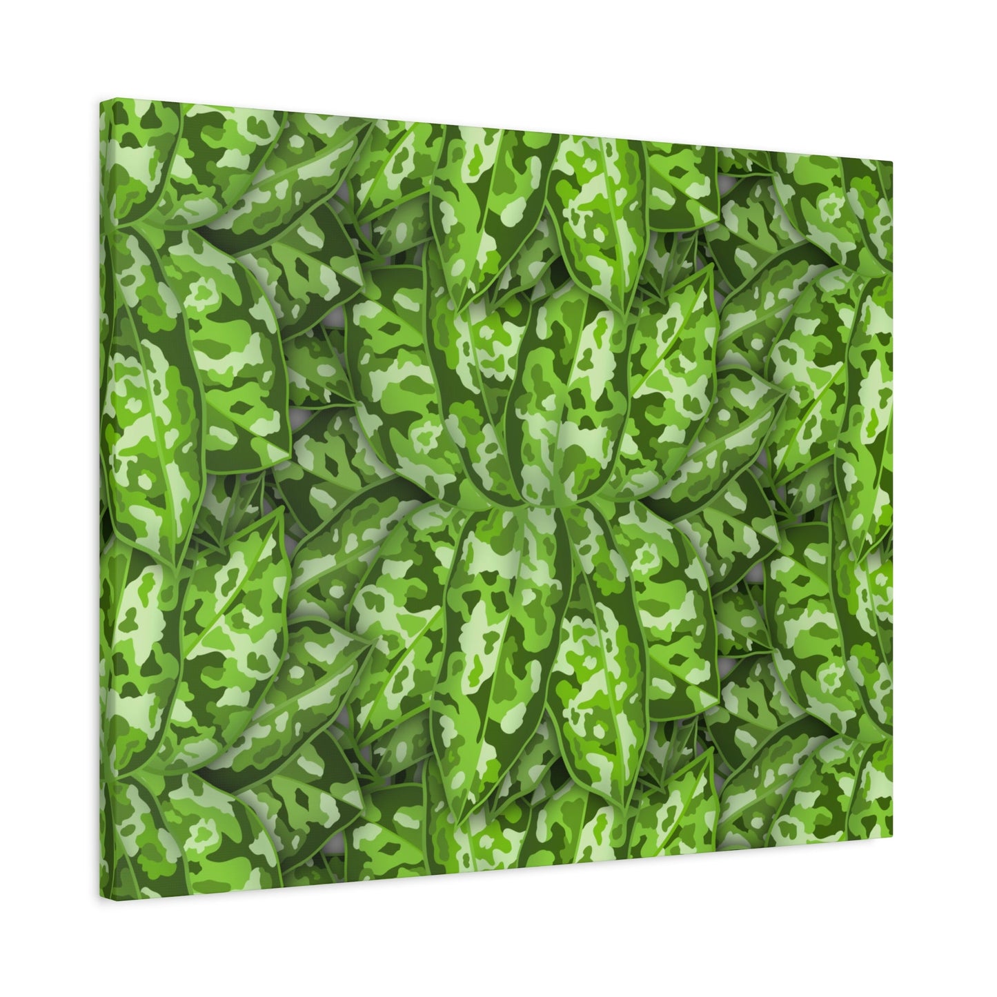 Aglaonema Pictum Canvas Print – Botanical Wall Art