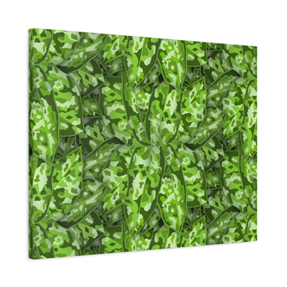 Aglaonema Pictum Canvas Print – Botanical Wall Art