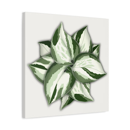 Manjula Pothos Canvas Print – Botanical Wall Art