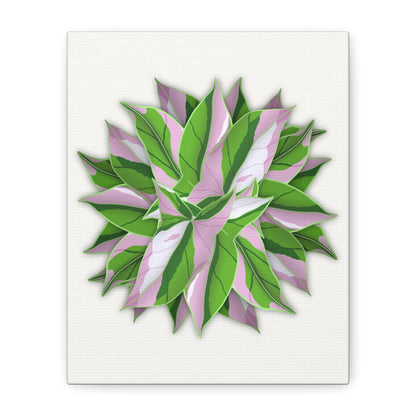 Syngonium Tricolor Pattern Canvas Print – Botanical Wall Art