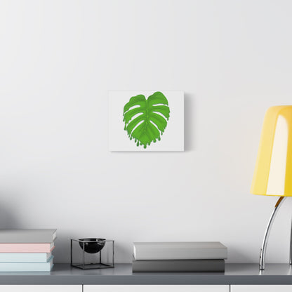 Melting Monstera Canvas Print – Botanical Wall Art