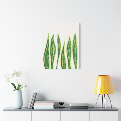 Snake Plant Canvas Print – Botanical Wall Art