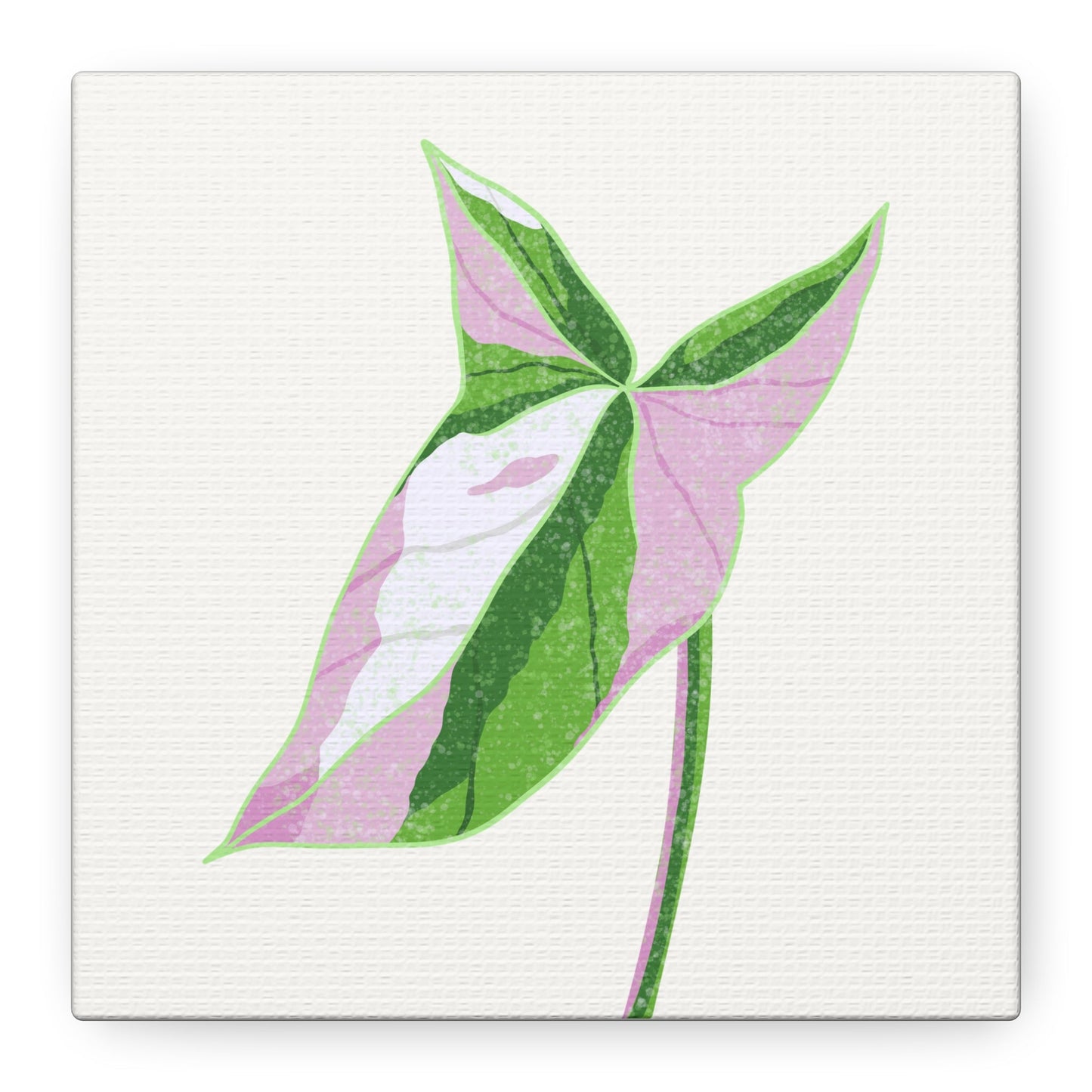 Syngonium Tricolor Canvas Print – Botanical Wall Art