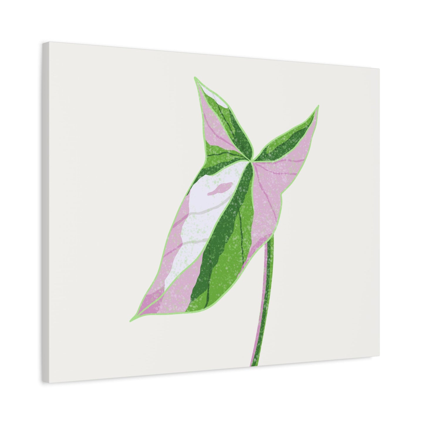 Syngonium Tricolor Canvas Print – Botanical Wall Art