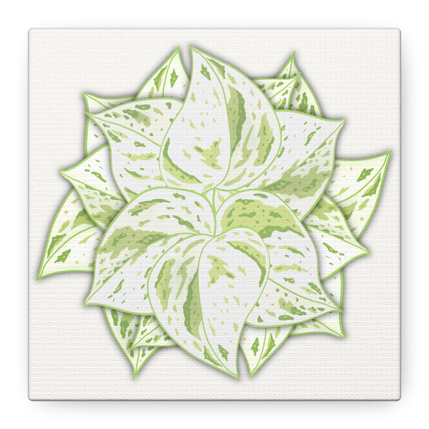 Snow Queen Pothos Canvas Print – Botanical Wall Art