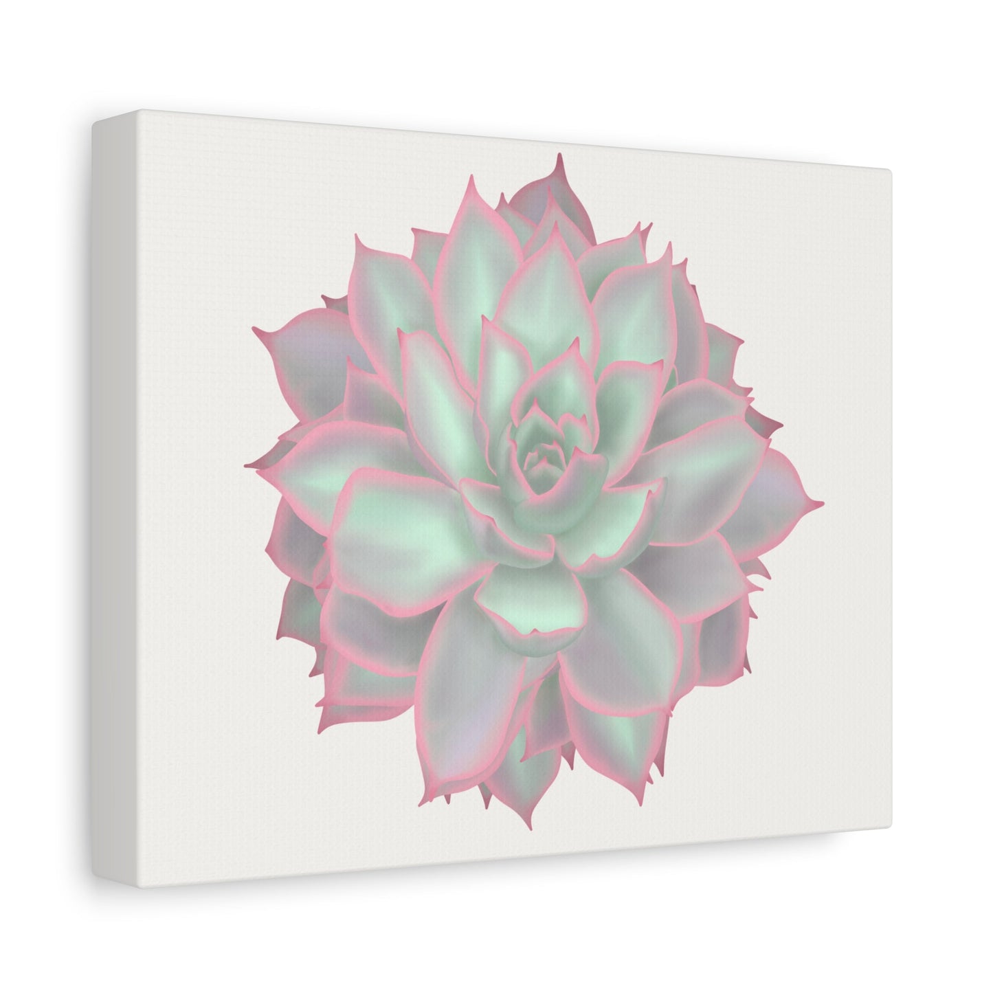 Echeveria Violet Queen Succulent Canvas Print – Botanical Wall Art