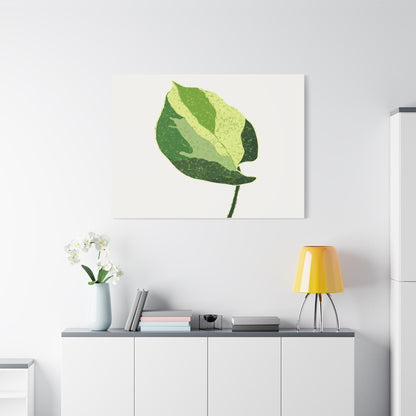 Manjula Pothos Illustrated Canvas Print – Botanical Wall Art