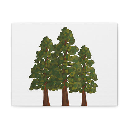 Coastal Redwood Canvas Print – Wall Art