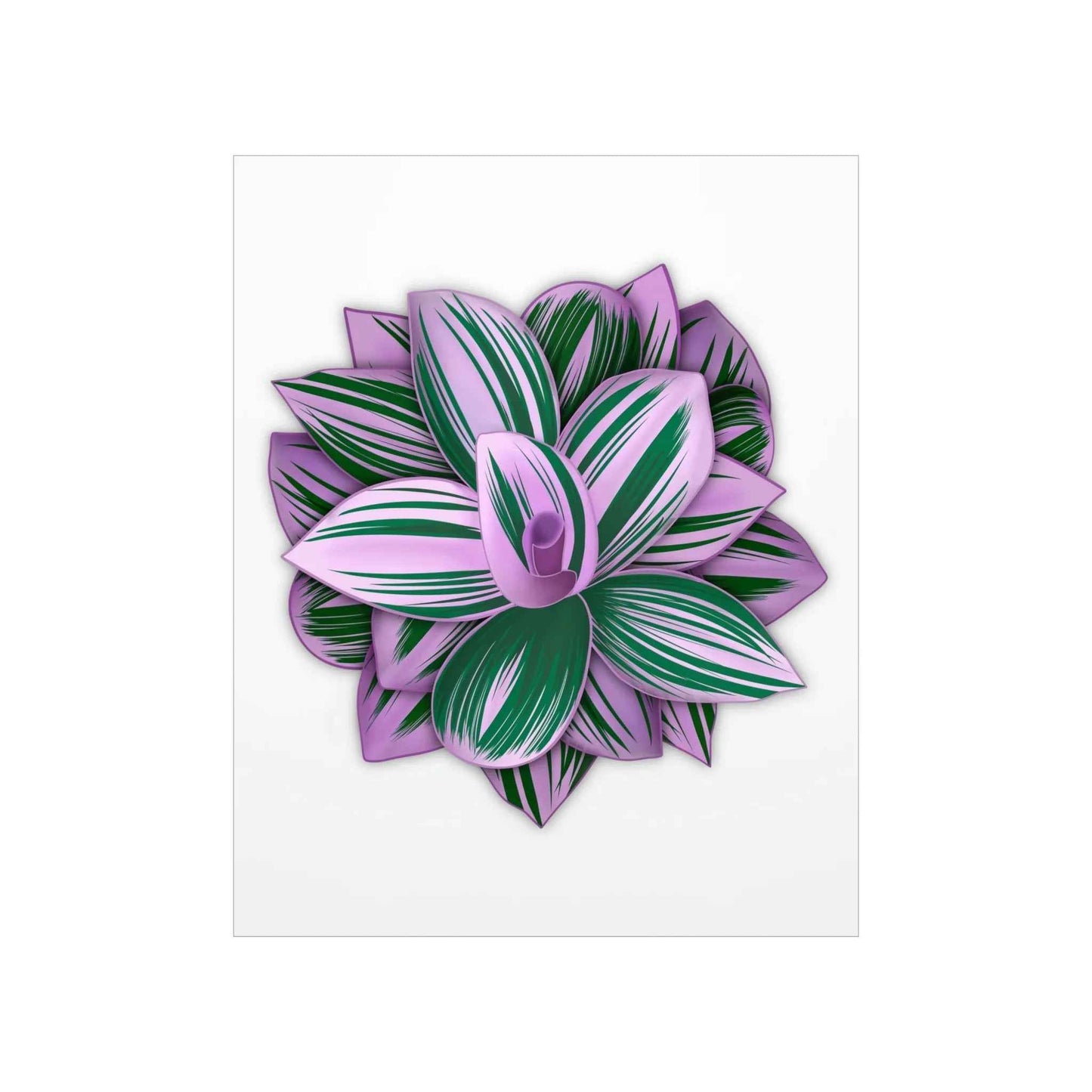 Tradescantia Nanouk Botanical Print – Unframed Wall Art
