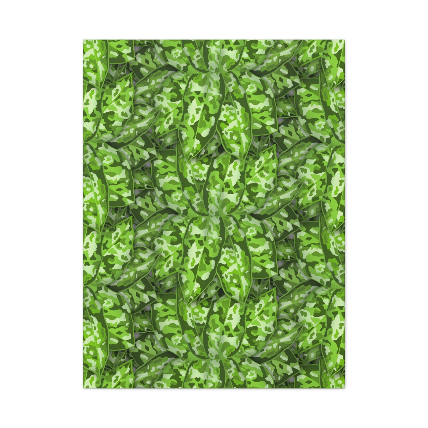 Aglaonema Pictum Canvas Print – Botanical Wall Art