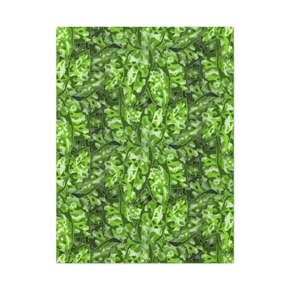 Aglaonema Pictum Canvas Print – Botanical Wall Art