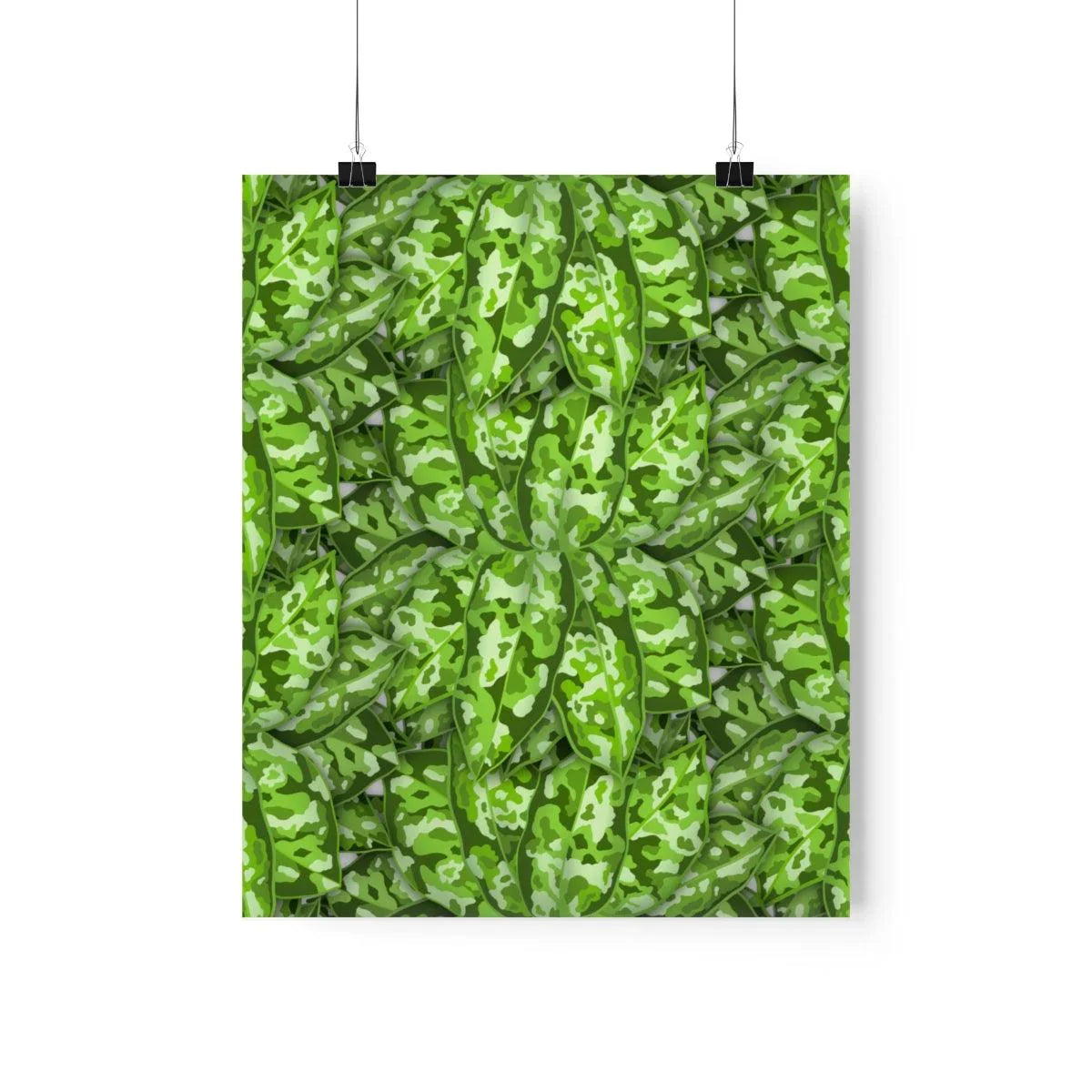 Aglaonema Pictum Botanical Print – Unframed Wall Art