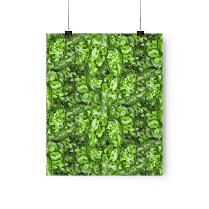 Aglaonema Pictum Botanical Print – Unframed Wall Art