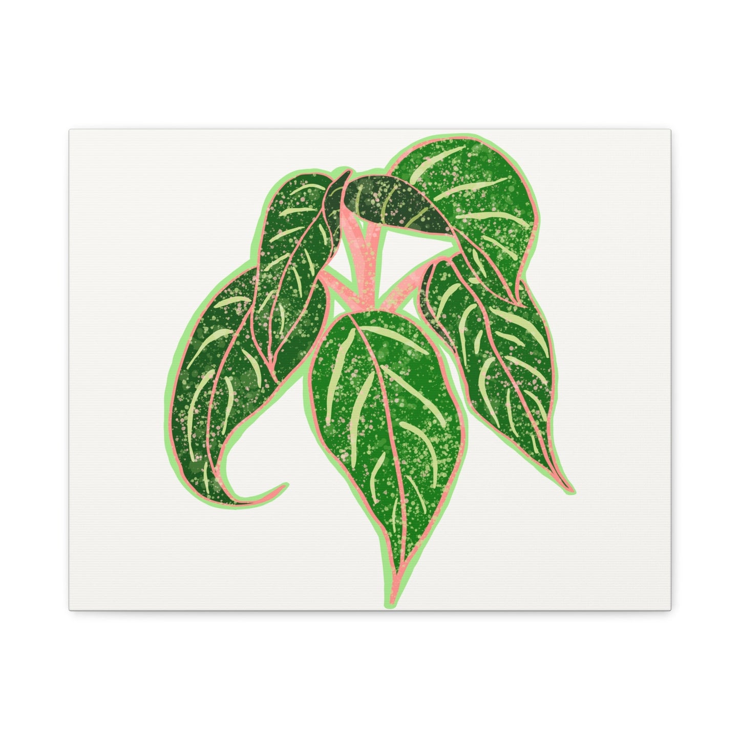 Aglaonema Sparkling Sarah Canvas Print – Botanical Wall Art