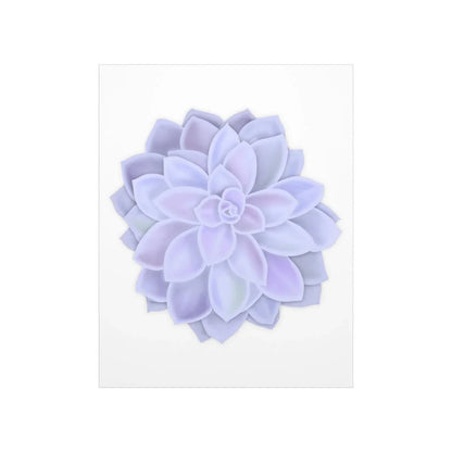 Graptopetalum Murasaki Succulent Botanical Print – Unframed Wall Art