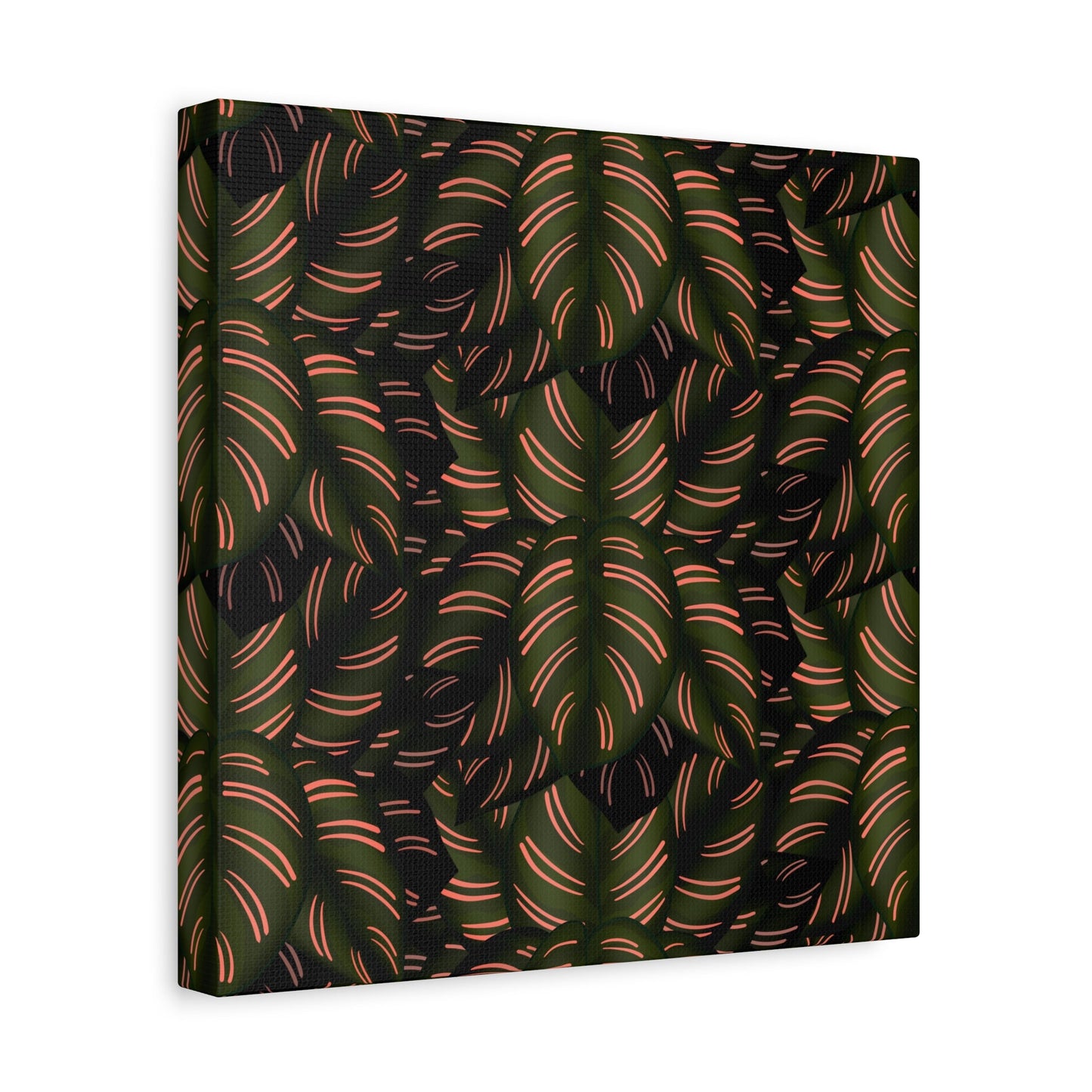 Calathea Pinstripe Pattern Canvas Print – Botanical Wall Art