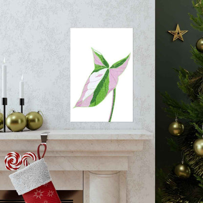 Syngonium Tricolor Botanical Print – Unframed Wall Art