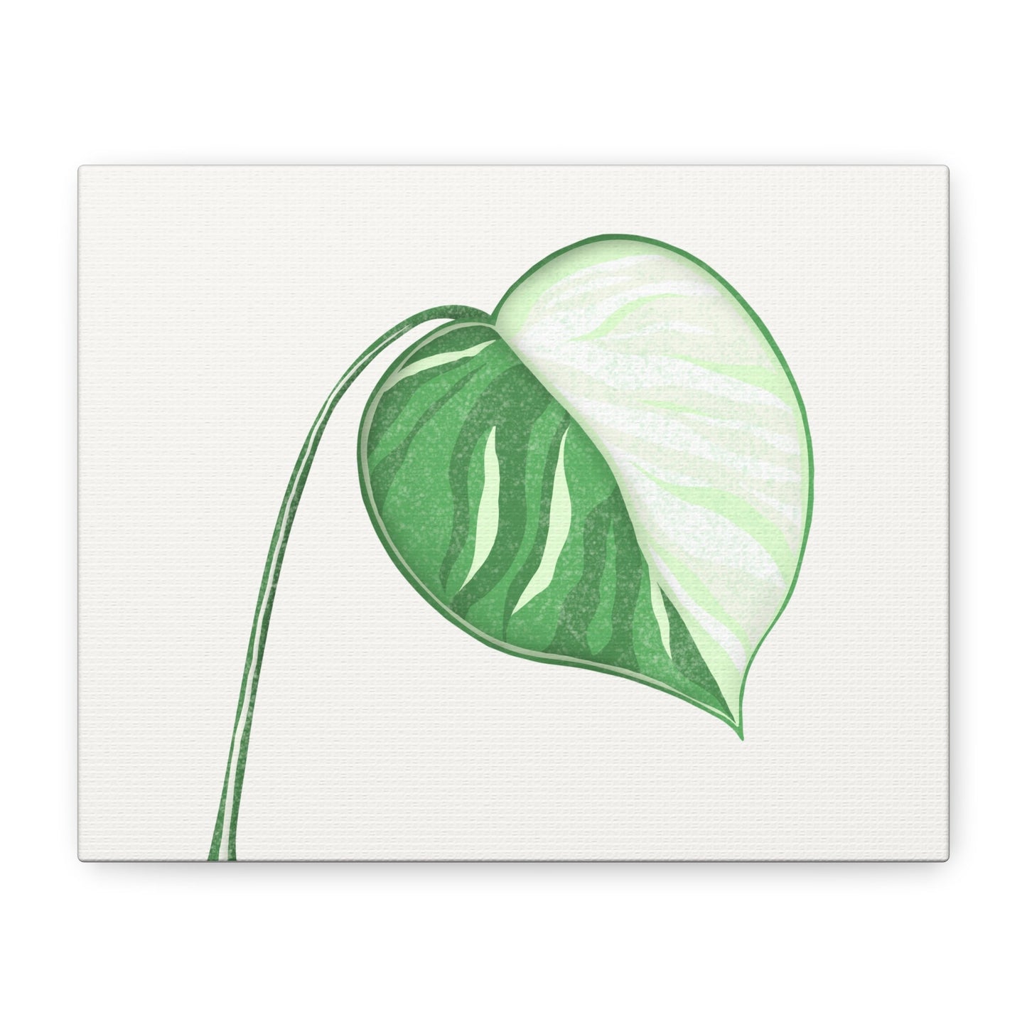 Monstera Albo Canvas Print – Botanical Wall Art