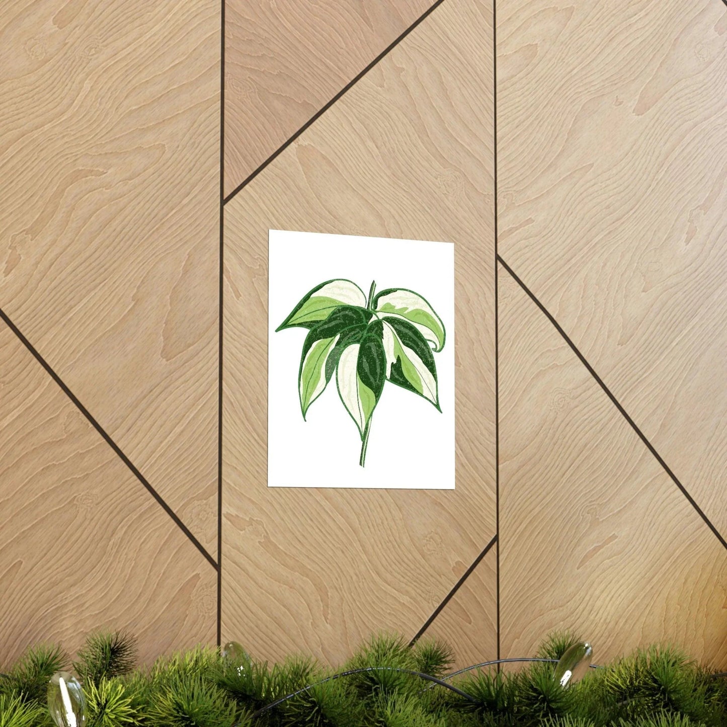 Philodendron Cream Splash Botanical Print – Unframed Wall Art