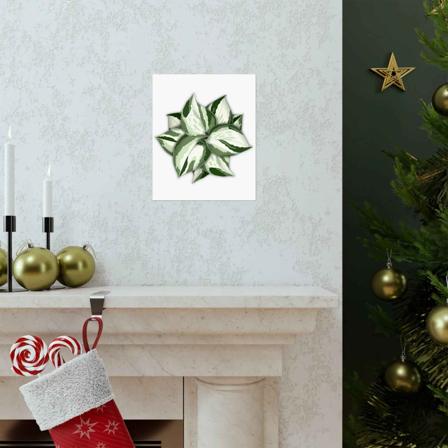 Manjula Pothos Botanical Print – Unframed Wall Art