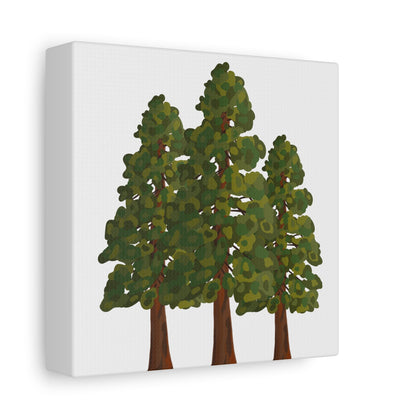 Coastal Redwood Canvas Print – Wall Art