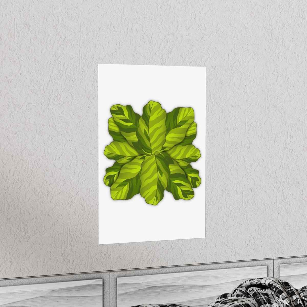 Calathea Yellow Fusion Botanical Print – Unframed Wall Art