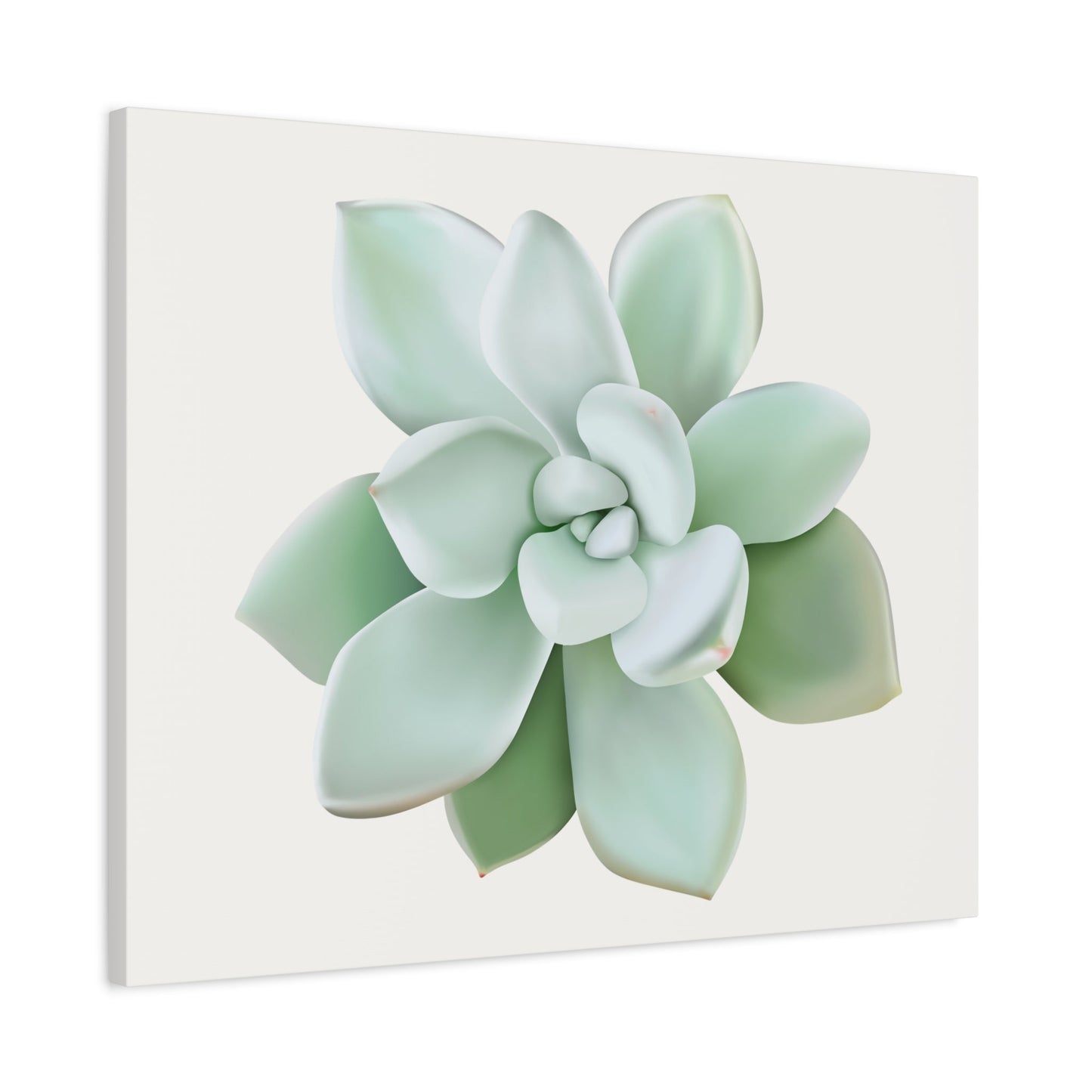 Pachyveria Haagei Succulent Canvas Print – Botanical Wall Art