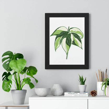 Philodendron Cream Splash Framed Print – Botanical Wall Art