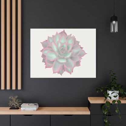 Echeveria Violet Queen Succulent Canvas Print – Botanical Wall Art
