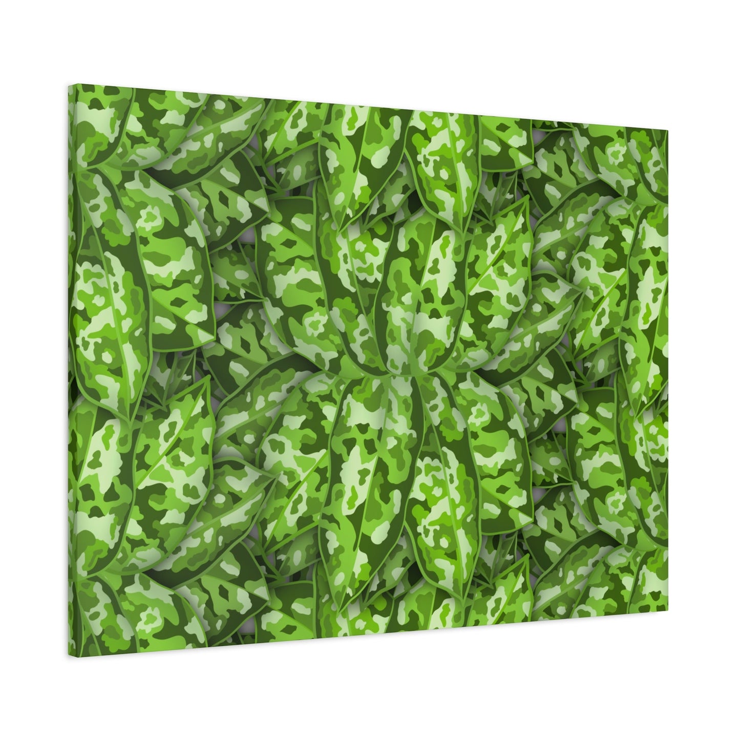 Aglaonema Pictum Canvas Print – Botanical Wall Art