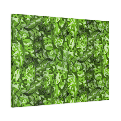Aglaonema Pictum Canvas Print – Botanical Wall Art