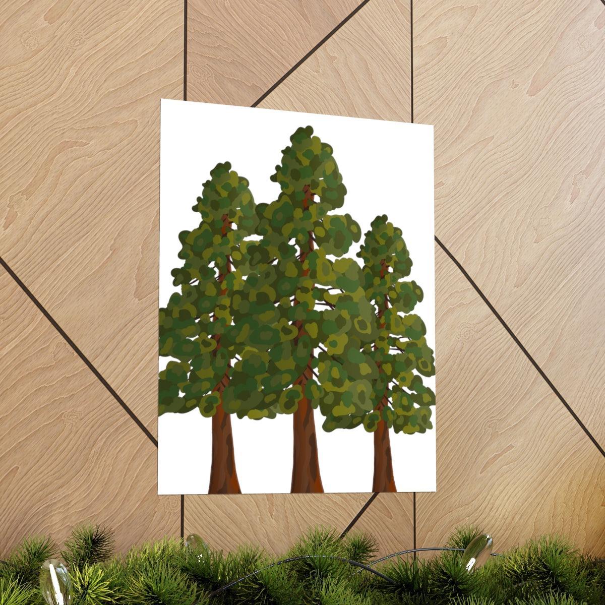 Coastal Redwood Print – Unframed Wall Art