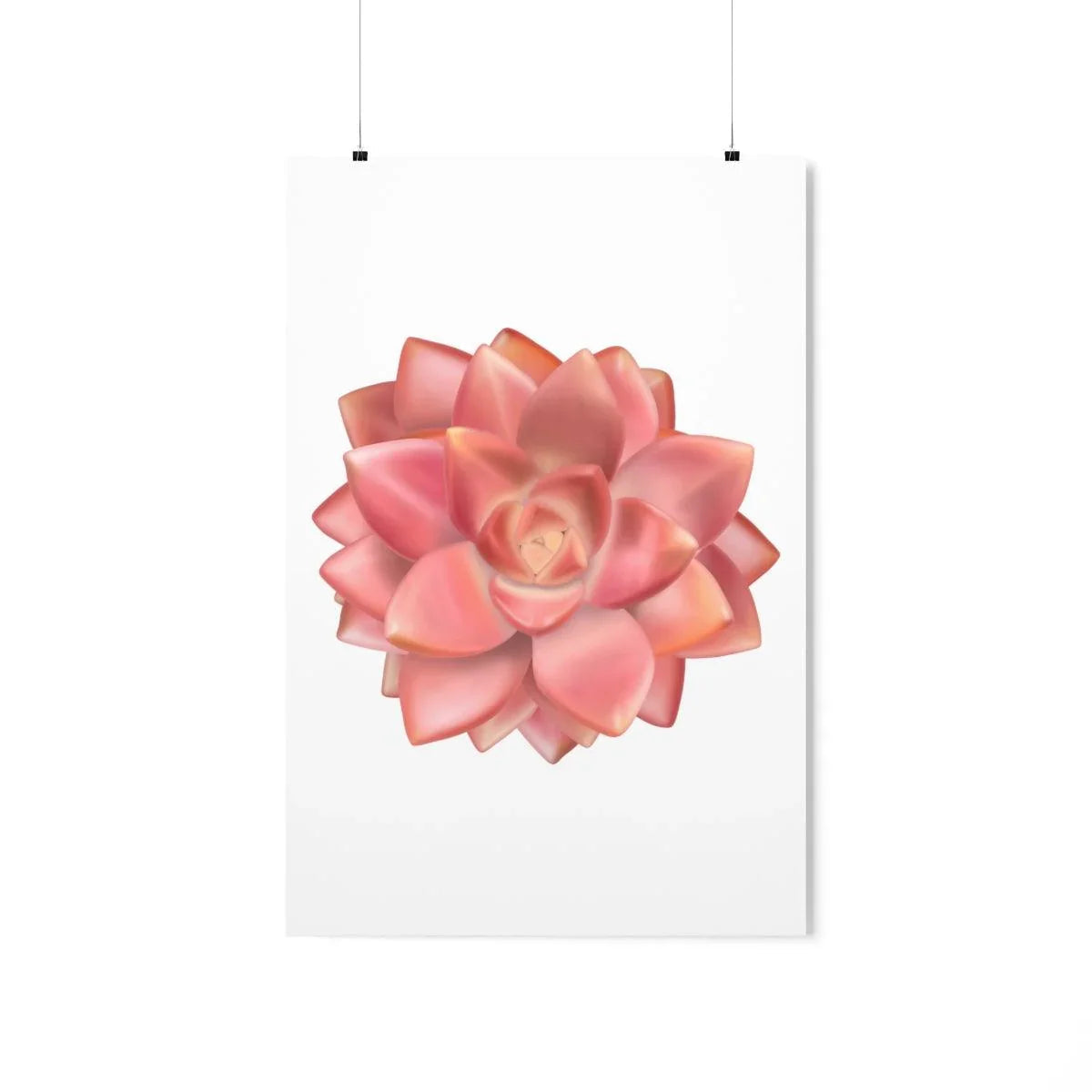 Graptosedum California Sunset Succulent Botanical Print – Unframed Wall Art