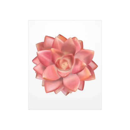 Graptosedum California Sunset Succulent Botanical Print – Unframed Wall Art